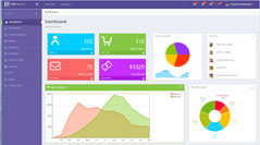 Custom business dashboards and software