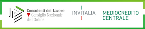 Image with missing alt attribute found on consulentidellavoro.it