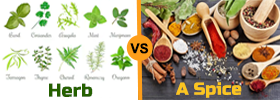 Herbs vs Spices
