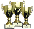 Picture for category Cups