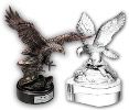 Picture for category Eagles