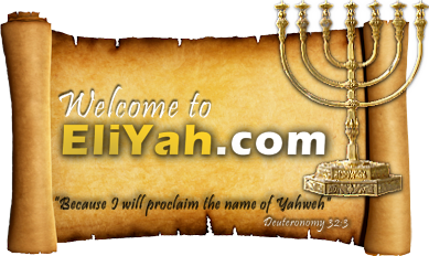 Image with missing alt attribute found on eliyah.com