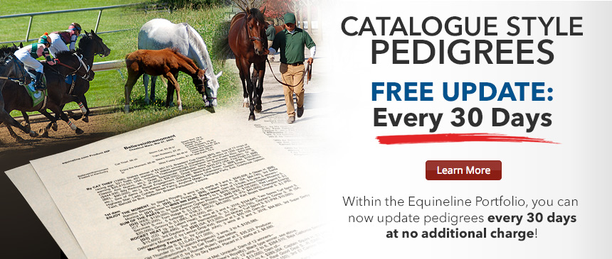Catalogue Style Pedigrees