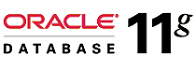 Oracle 11g