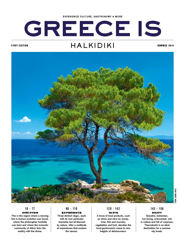 Image with missing alt attribute found on greece-is.com