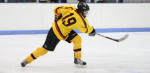 Image with missing alt attribute found on hockeydb.com