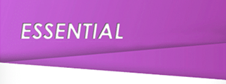 Image with missing alt attribute found on homesc.com