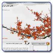 Image with missing alt attribute found on iranskin.com