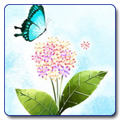 قالب وبلاگ