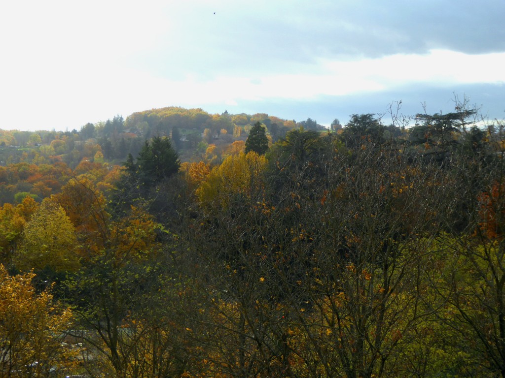 Image with missing alt attribute found on meteo-lyon.net