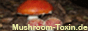 Image with missing alt attribute found on adcocktail.com