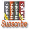 Subscribe to parrots magazine