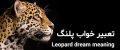 تعبیر خواب پلنگ | دیدن پلنگ در خواب چه تعابیری دارد؟