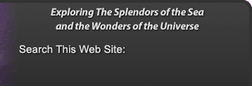 Image with missing alt attribute found on seasky.org