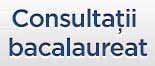 Consultatii Bacalaureat