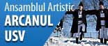 Arcanul