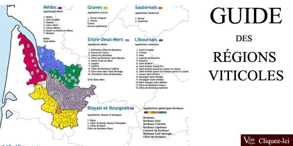 Le guide des r&eacute;gions viticoles: toutes les r&eacute;gions viticoles pass&eacute;es &agrave; la loupe !