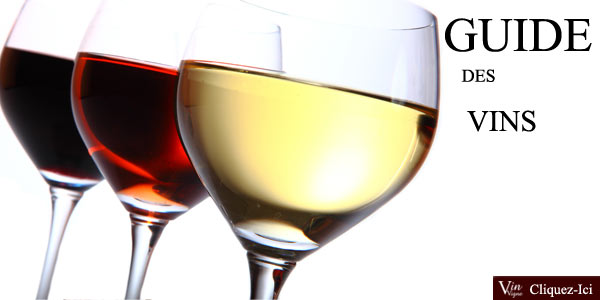 Le guide des vins de France : conservation, service, d&eacute;gustation, tous les vins analys&eacute;s !