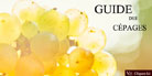 Image with missing alt attribute found on vin-vigne.com
