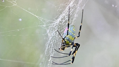 Image with missing alt attribute found on xinhuanet.com