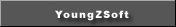 Image with missing alt attribute found on youngzsoft.com