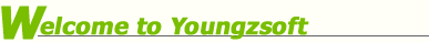 Image with missing alt attribute found on youngzsoft.com
