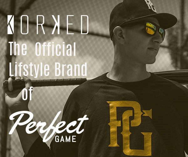 Image with missing alt attribute found on perfectgame.org