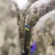 Як дружини загиблих захисників можуть оформити пенсію по втраті годувальника?