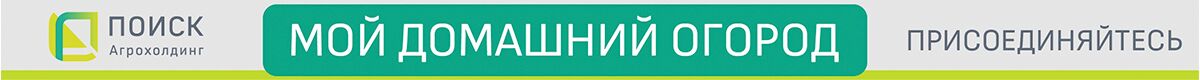 Image with missing alt attribute found on 7dach.ru