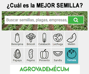 Image with missing alt attribute found on infoagro.com