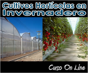 Image with missing alt attribute found on infoagro.com