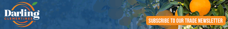 Image with missing alt attribute found on freshplaza.com