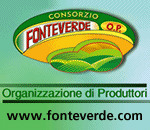 Image with missing alt attribute found on freshplaza.it