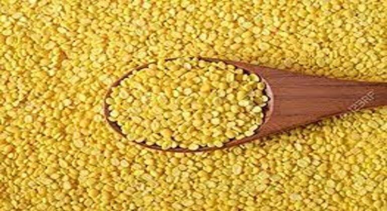 Image with missing alt attribute found on agrisource.co.in
