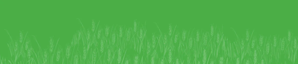 Image with missing alt attribute found on agrisource.co.in