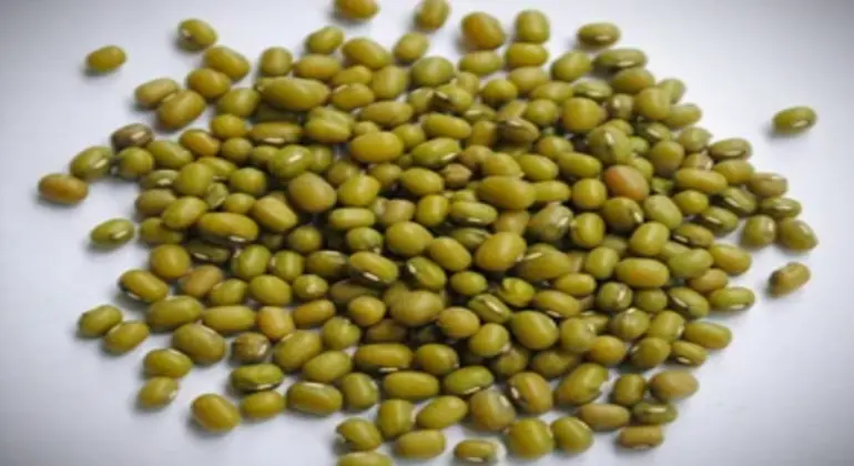 Image with missing alt attribute found on agrisource.co.in
