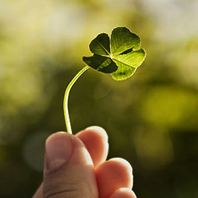 Image with missing alt attribute found on algarabia.com