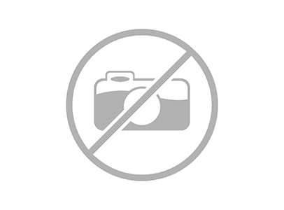 Image with missing alt attribute found on altegrosky.ru