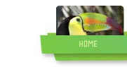 Image with missing alt attribute found on ambergriscaye.com