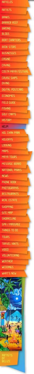 Image with missing alt attribute found on ambergriscaye.com