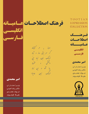Image with missing alt attribute found on andishmandpub.com