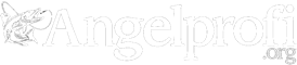 Image with missing alt attribute found on angelprofi.org