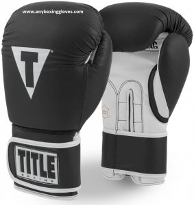 best boxing gloves