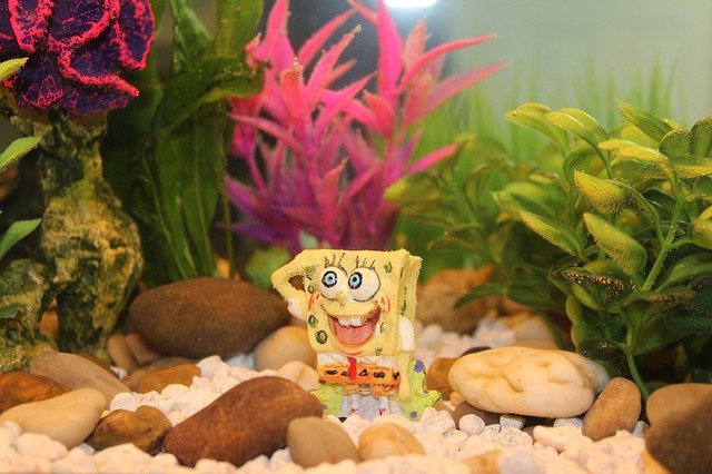 Image with missing alt attribute found on aquarium-deko.com