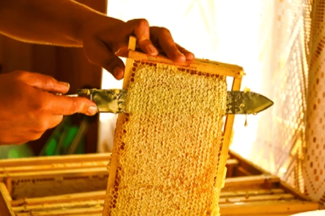 Image with missing alt attribute found on aravalihoney.com