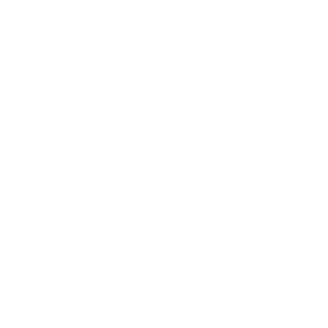 Image with missing alt attribute found on arcticwolf.net