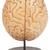 test de inteligencia