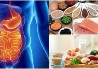 digestion bioquimica