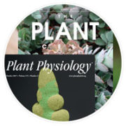 Image with missing alt attribute found on aspb.org