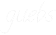 Image with missing alt attribute found on guebs.net